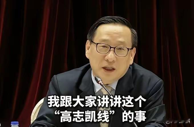 高志凯怒斥：“台独”分子必须重新定性！这不是政治，是汉奸卖国！高志凯这次是真