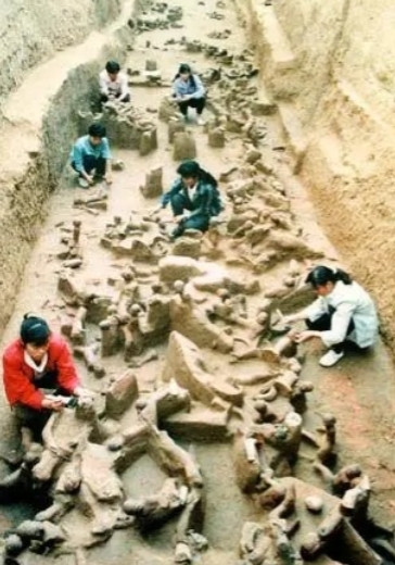 许多人以为殉葬就是把活人推进地宫，在封闭后哭喊，事实上，为了生存，殉葬的人可能会