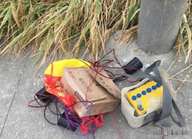 湖北襄，阳兰某等4人在村头坟地旁林地铺电网电野兔，天黑后设备供电，兰某在车内看管