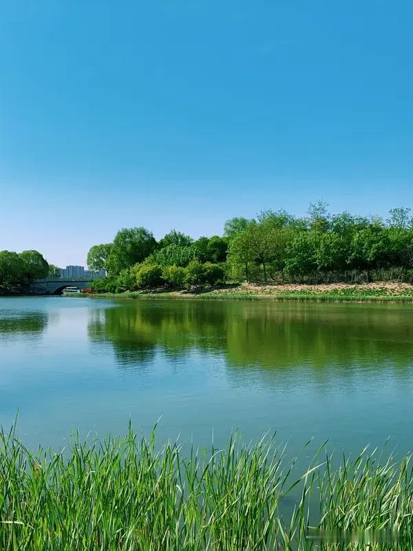 这话说得扎心却是很多人活大半辈子才悟的身边有位伯伯辛苦工作大半辈子为家庭