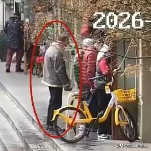 年龄不是免死金牌！上海，女子在菜市场买菜，挑好准备付钱时，一摸口袋钱包没了，女子