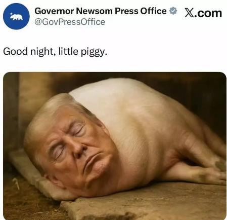 加州州长纽森在社交平台X上发了张图，把特朗普的照片P成了一头猪，这种赤裸裸的人身