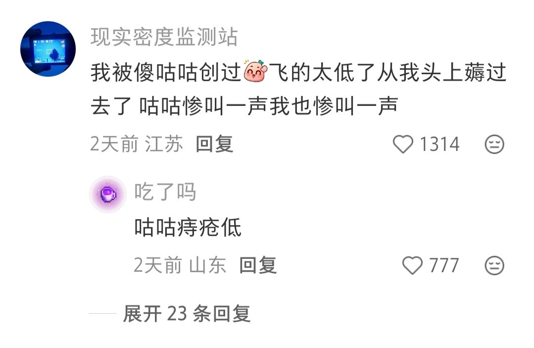 真的没有人被低飞的燕子撞到过吗...