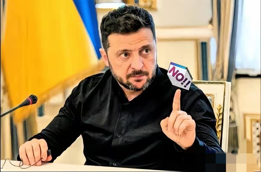 泽连斯基正式回应了俄罗斯的邀请！1月30日泽连斯基称，乌克兰始终致力于结束战