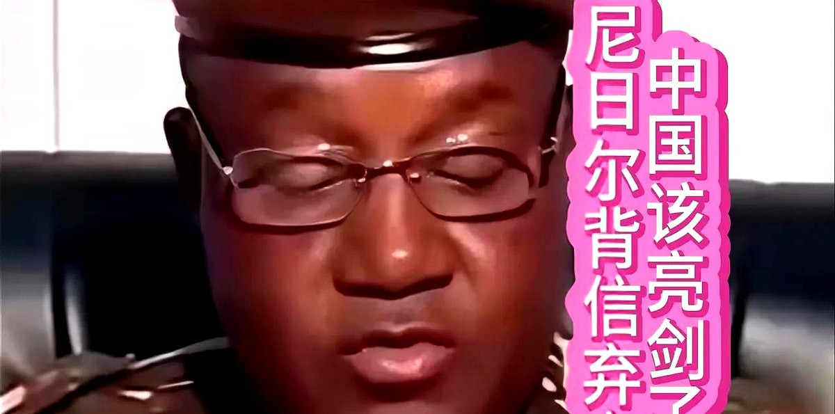 尼日尔外长访华，就为了这件大事---