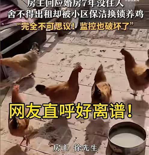 “快被气死了”，近日，一位山东青岛的男子报警称：自己装修好的婚房将近7年没人住，