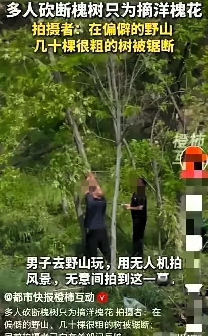 “作孽呀！”4月29日，陕西礼泉一男子旅游，用无人机拍风景，竟发现某村附近，有很