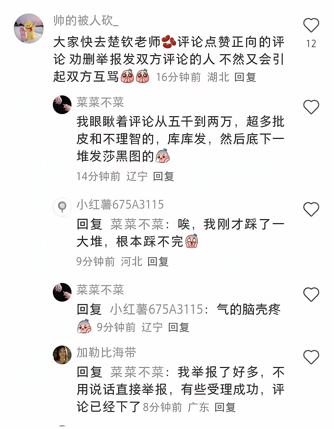 大头抖音视频发出不久，黑粉一度攻陷了评论区，各种指向莎莎的图文以及表情包泛滥成灾