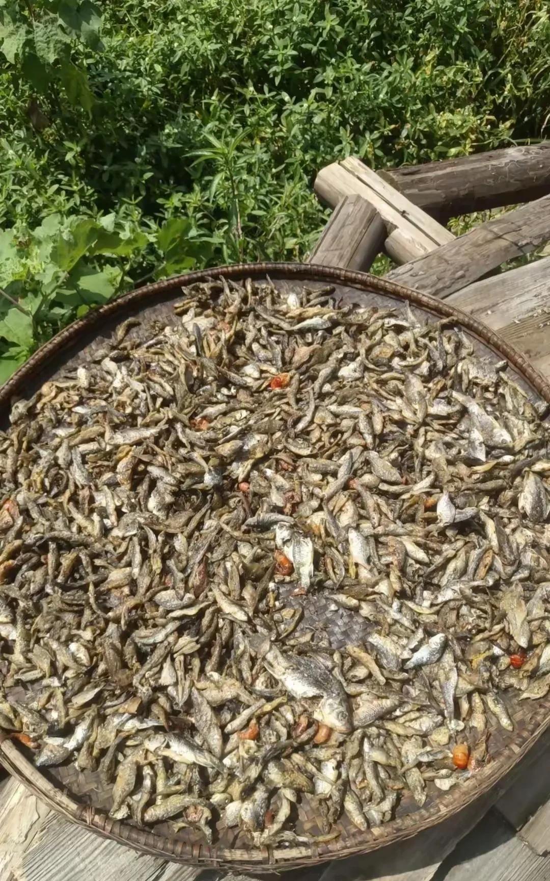 这样的小鱼干确实很下饭，唯一的缺点就是没去内脏，吃起来带沙子。