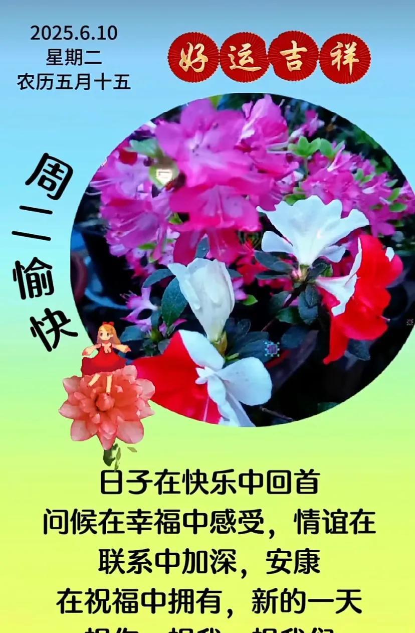 周二快乐！