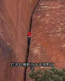 王一博到底什么时候才能“鬼混”完回来当明星呢？王一博现在真的是沉浸在自己的探
