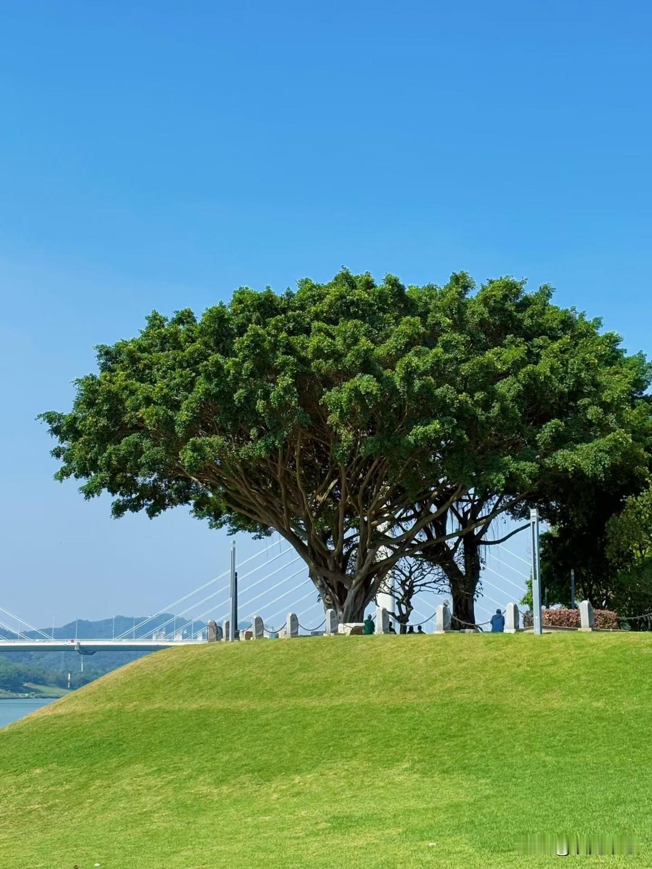 老人言：有福之人，必有三寡.1.寡言寡言者沉稳内敛，从不逞口舌之快。闲话是