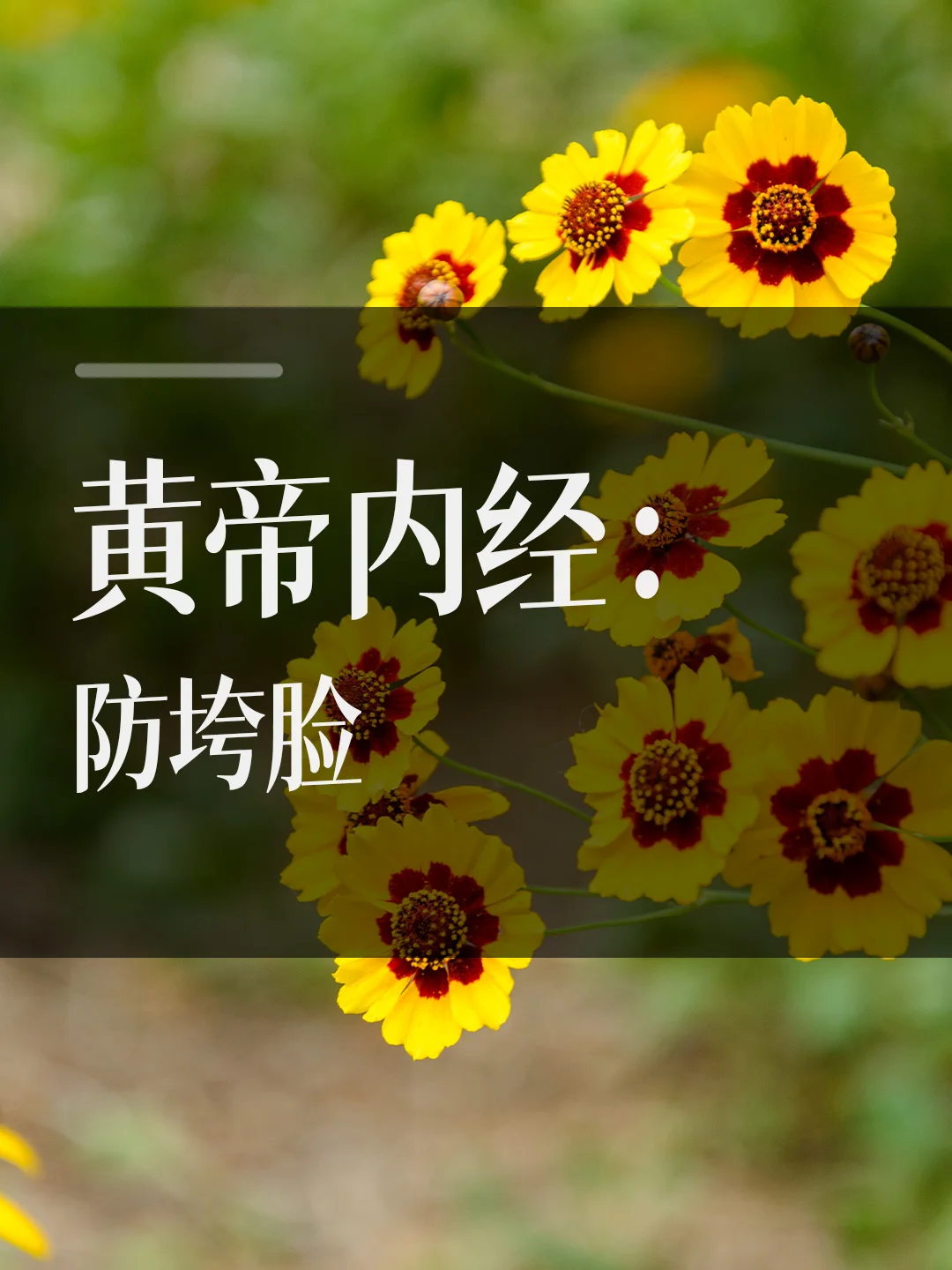 黄帝内经：防垮脸