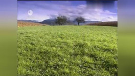 笛子独奏_马儿啊你慢些走_李贵中