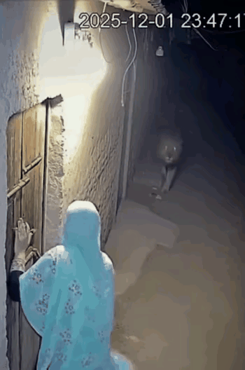 生死时刻，希望的门紧闭着。绝望无助，不过如此。