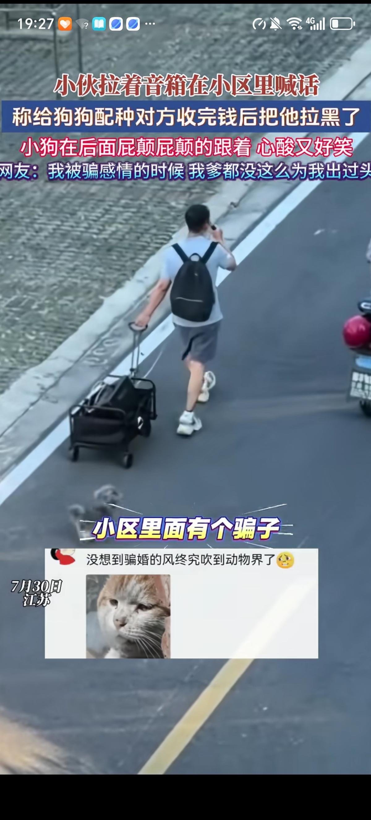 江苏小伙花800元给自家处在发情期的狗姑娘找适合配种的俊俏狗小伙，没想到卖家发的