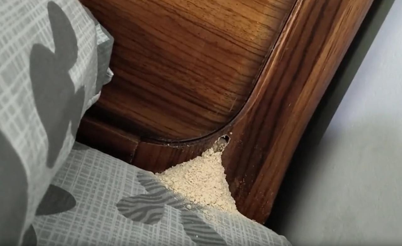 海南，一女子在床上睡觉，突然听到床头边传来“砰”的一声，转头看过去，发现床头木板