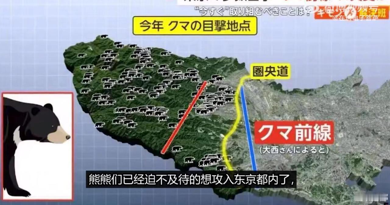最近北海道这事儿真是绝了，原本该是看雪的旅游胜地，结果现在满大街都是熊的麻烦。今