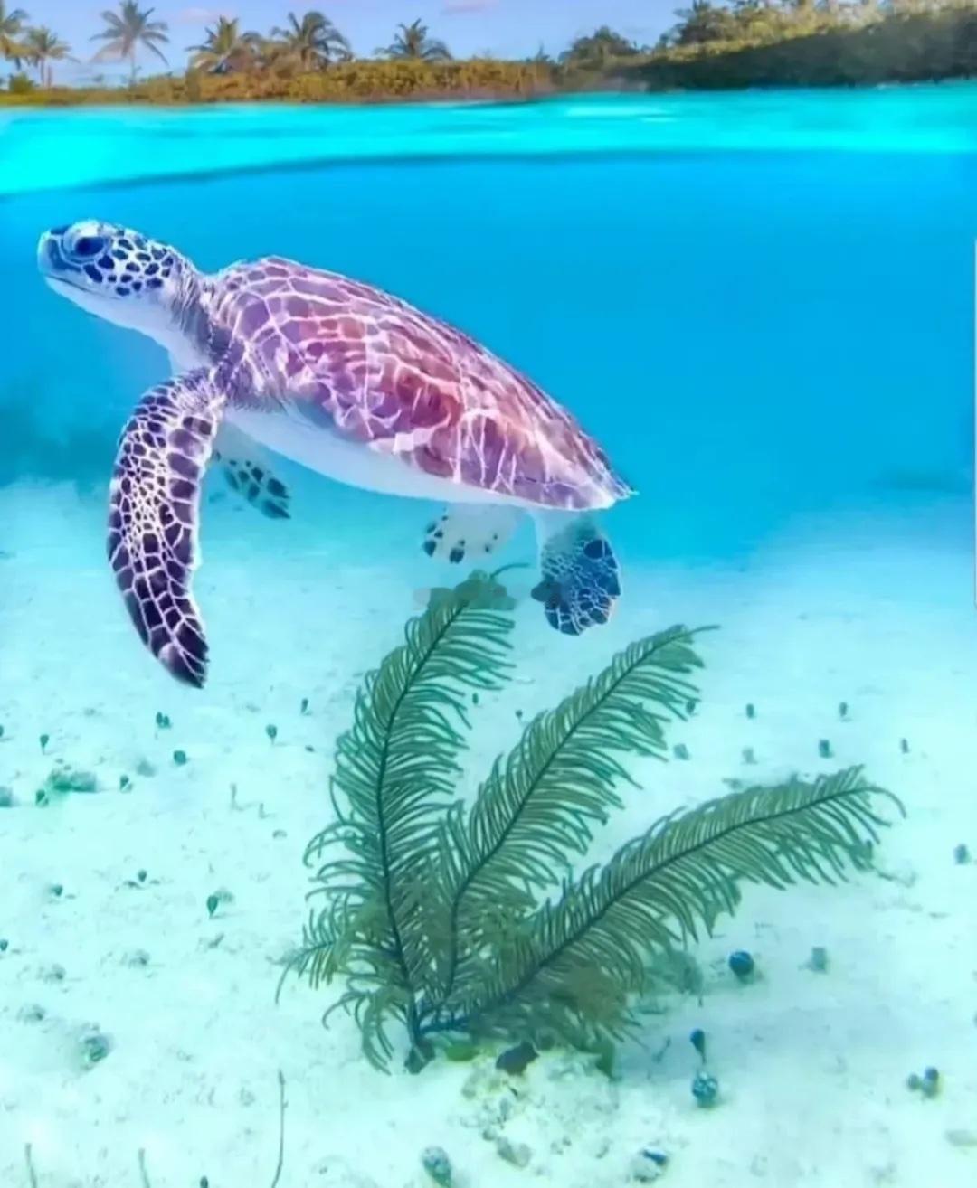 天蝎座的人在感情中非常注重深度和真挚，他们渴望恋人能够理解自己的内心世界，并与自