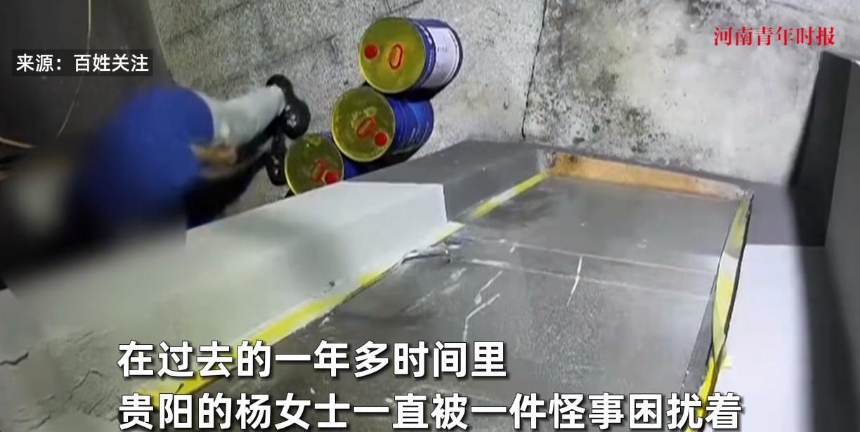 “解释不清了！”近日，贵州贵阳，一女子家里的杂物间突然被楼上的邻居不断扔猫砂猫粪