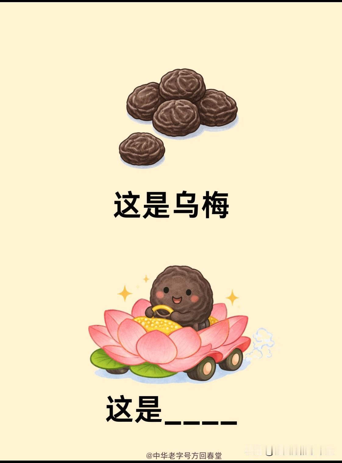 超难谐音梗游戏挑战这期都是一些中草药方面的迄今为止没有一个人全部猜对谐音玩