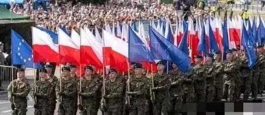 震撼！北约六国联手撕毁国际条约，俄罗斯噩梦才刚刚开始：一场改变欧洲格局的风暴正在