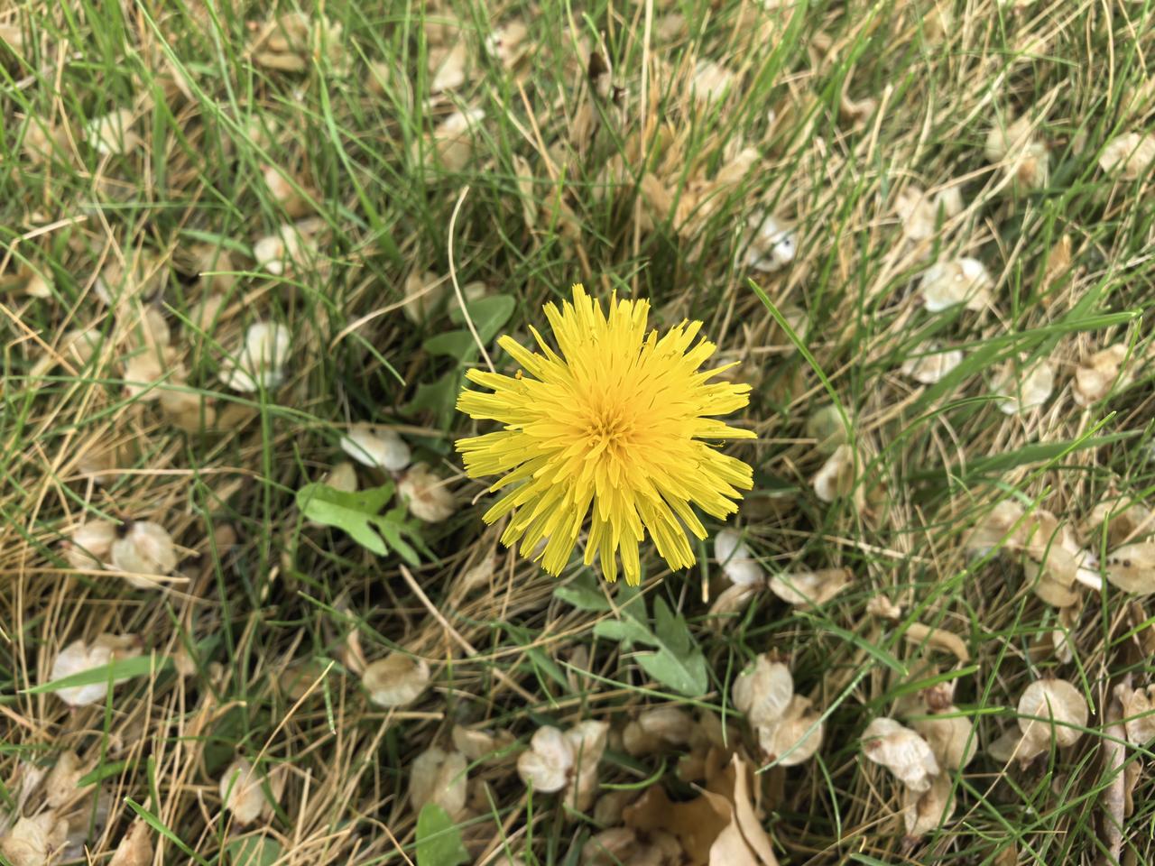 人的一生：1、心跳：50亿次左右2、睡觉：20万小时左右3、喝水：55吨左