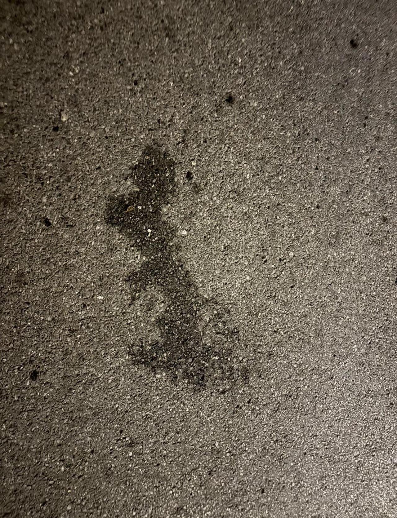 我就感觉地上有个龙，豆包还是听懂我的。