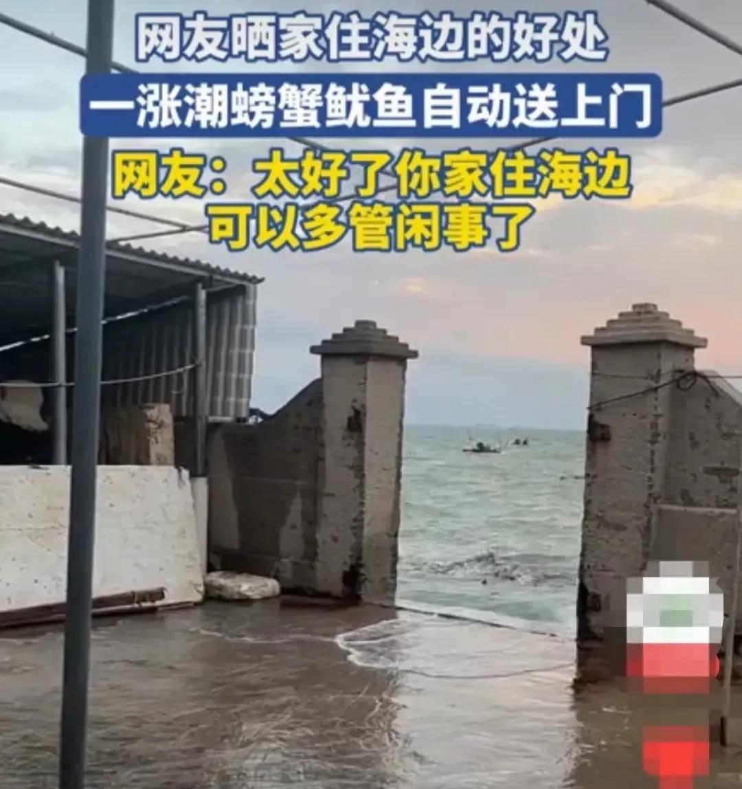 广西男子真幸福，别人花高价买海鲜吃，有时候还不新鲜。人家住在海边，每天大海涨潮