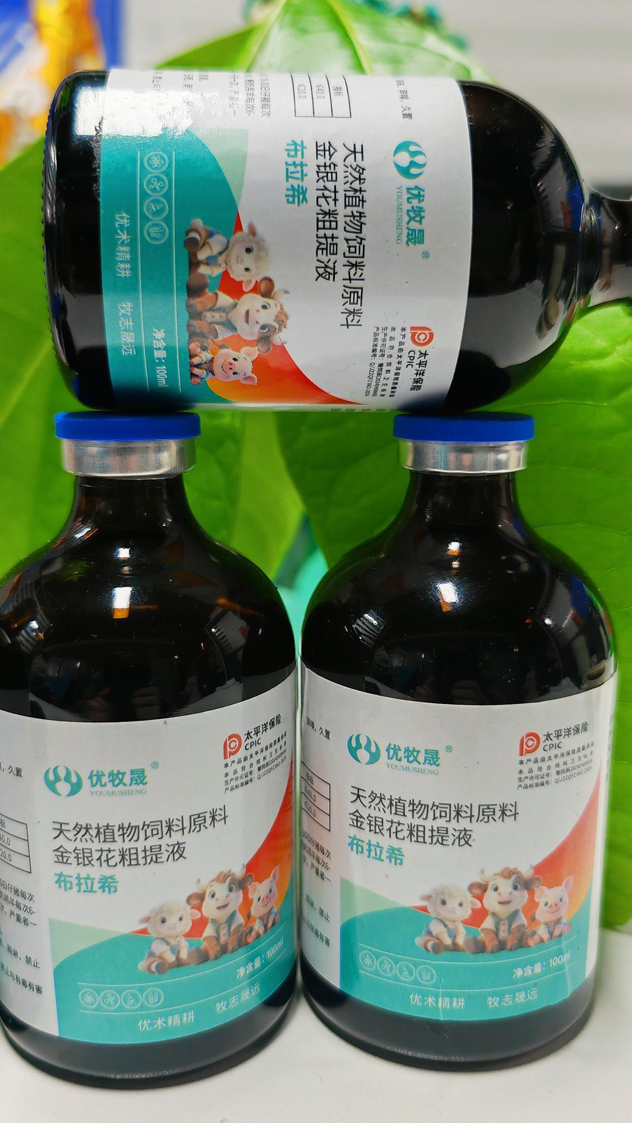 养羊人牛羊养殖农村养羊