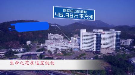 中山大学黎培兴C++第四十八讲_土豆视频