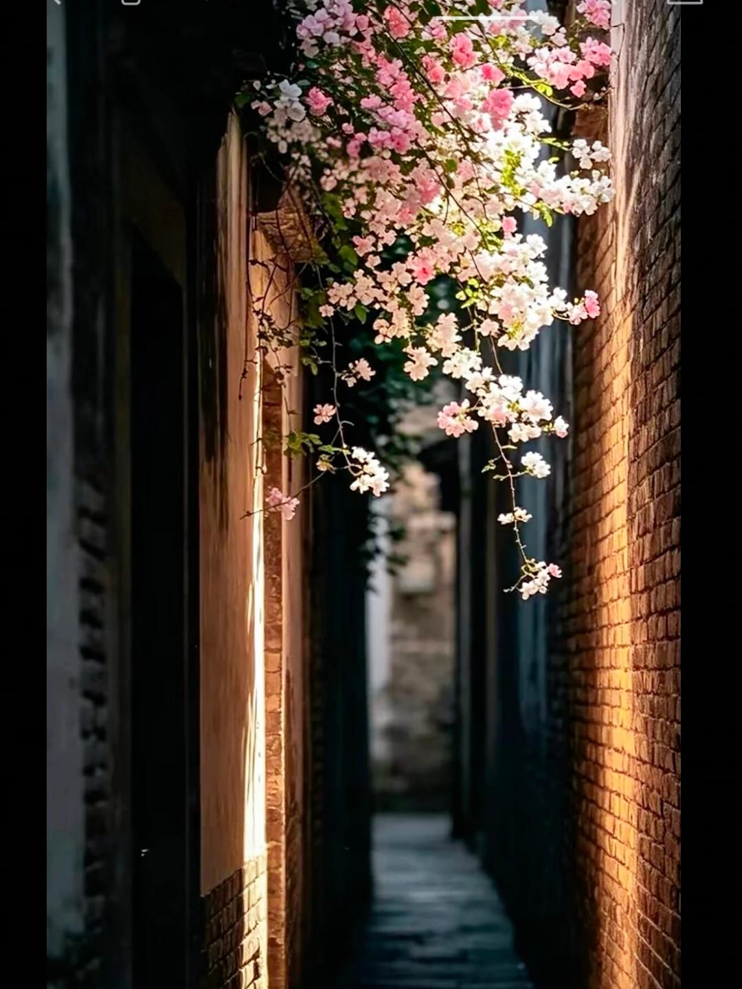 人生其实很像一场早就写好的剧本。出生的时候，身份、家庭、时代，甚至你会遇见谁，仿