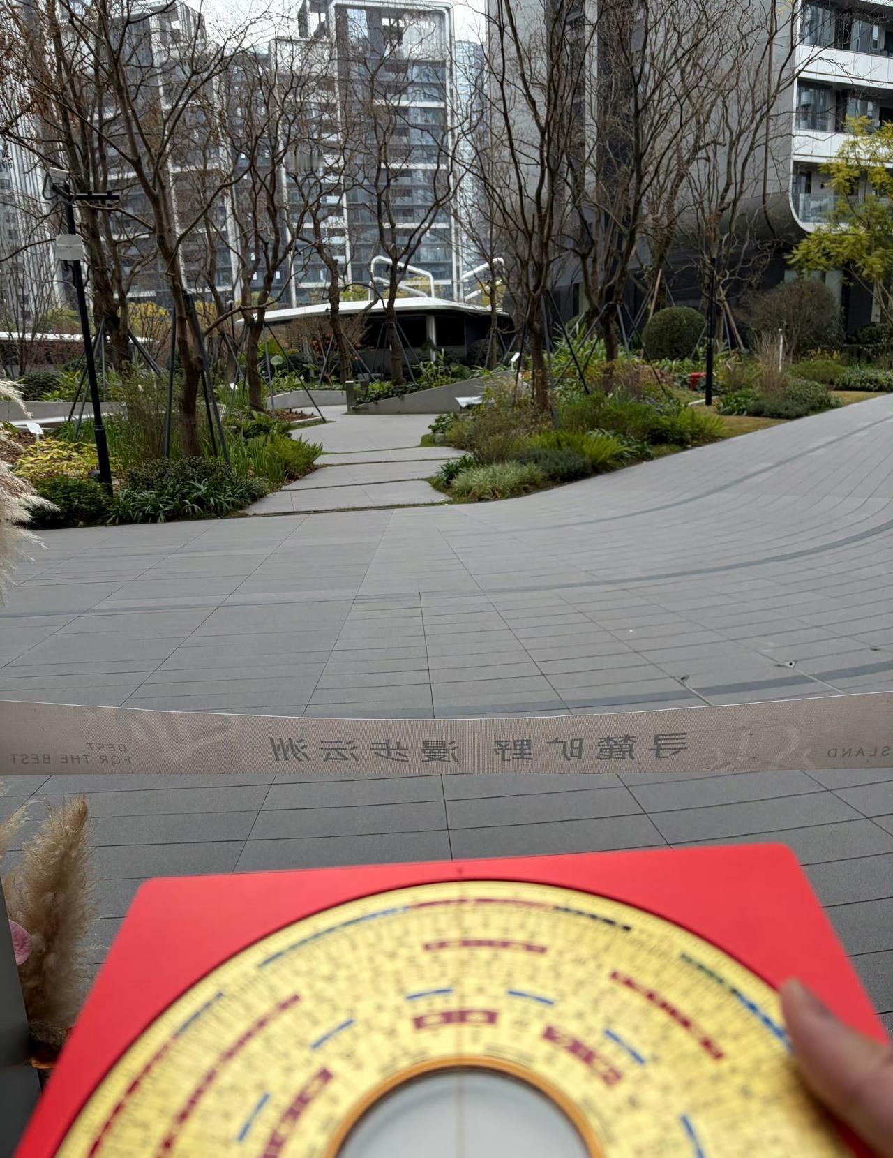 今日运势：乙巳年戊子月丁丑日2026.1.3日鼠：小吉好运不断牛：避免