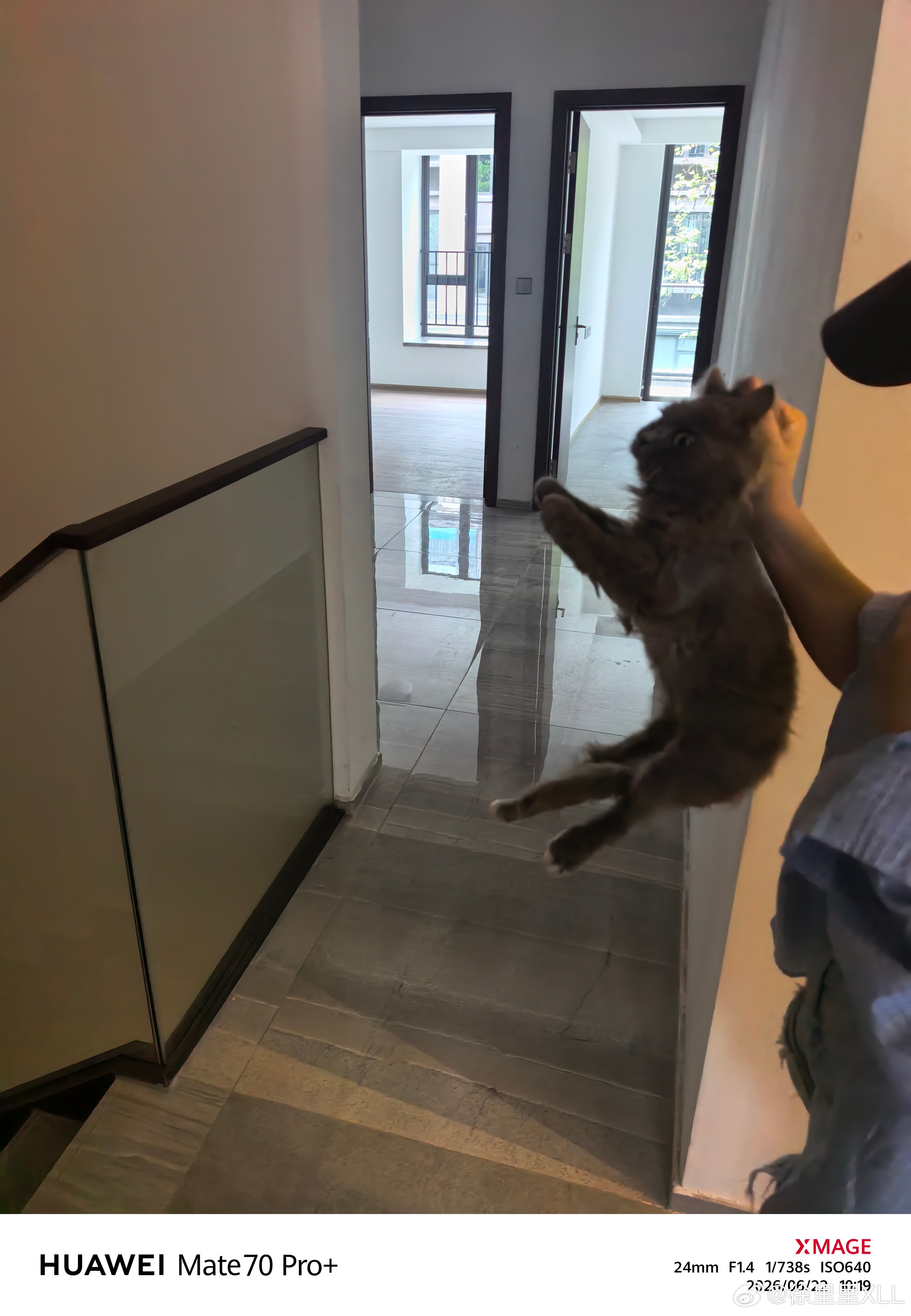 某人又把前天遇到那只流浪猫捡回家了。怕有传染病，放在另一栋空房子里。我TM都一天