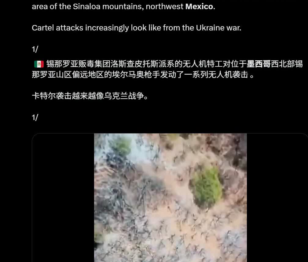 乌克兰情报部门一查傻眼了，乌军砸重金培训的拉美雇佣兵，刚学成，转眼就跑路，回国给