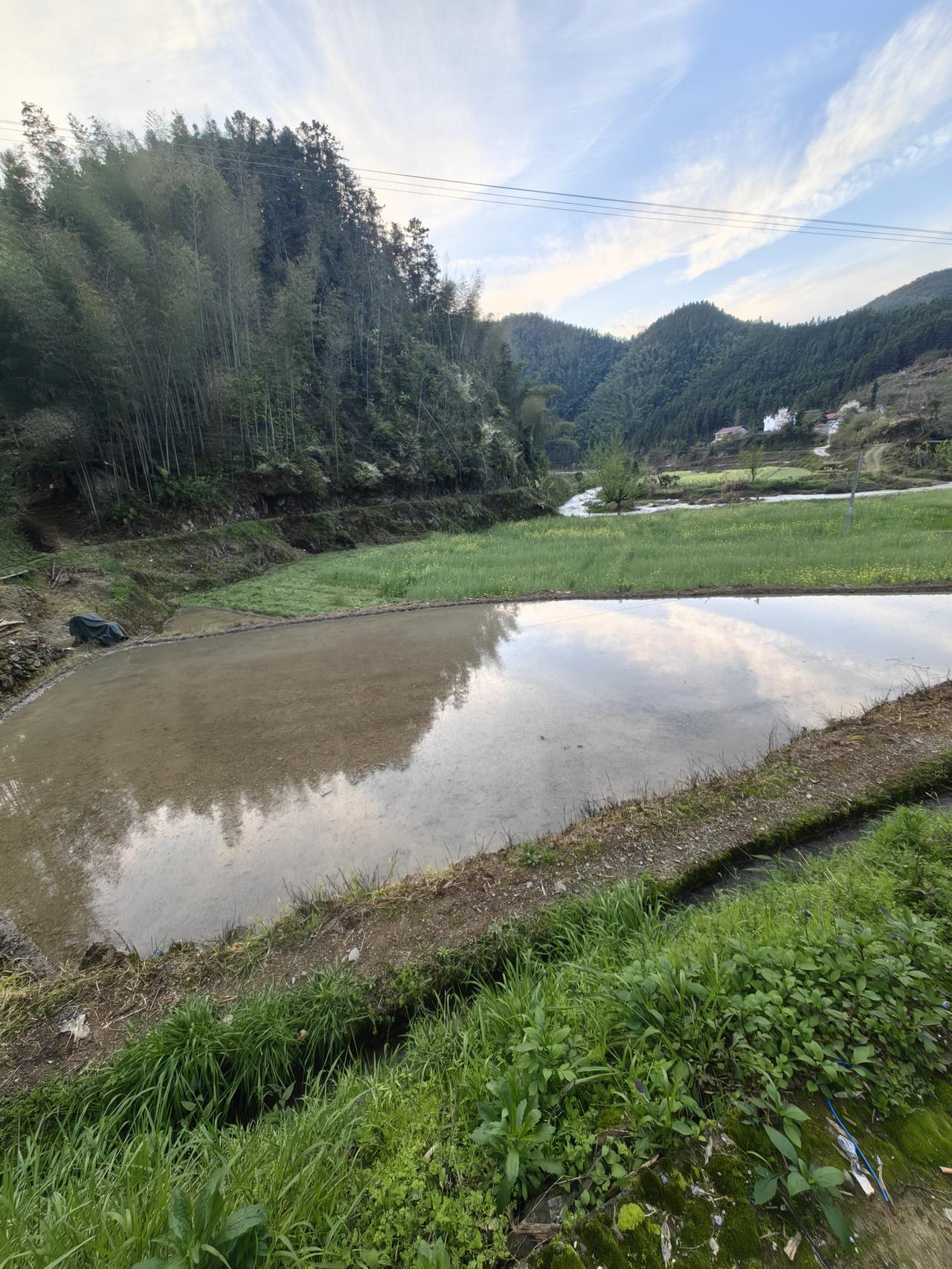 连环爆雷，300万的房子怎么办？前天在去给先人扫墓的路上，接到一个会员过来的咨询