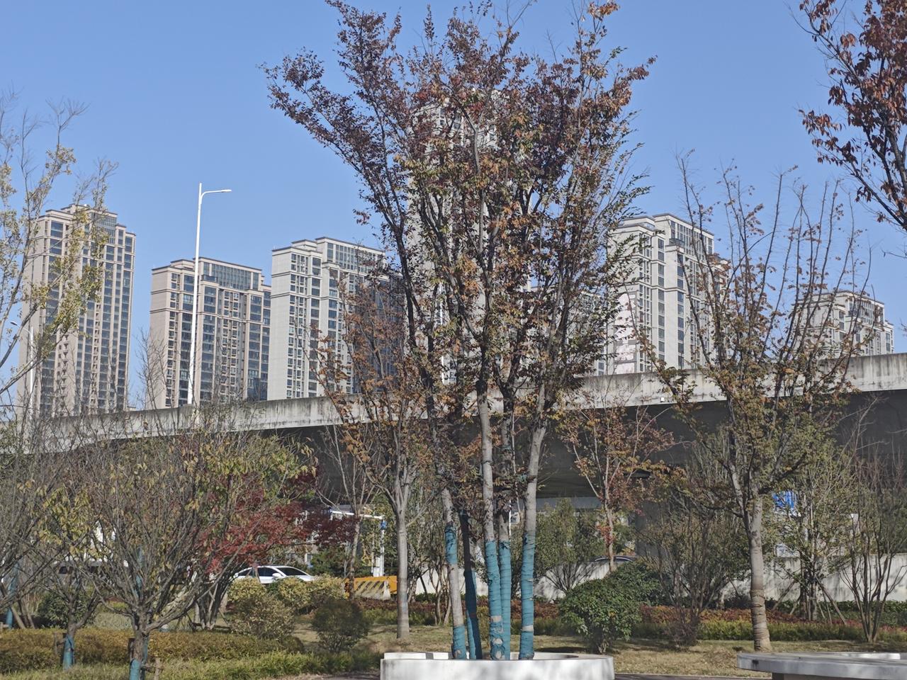 中小学教师职称的“天花板效应”和“内卷化”，这无疑是中小学教师职业发展中的一道结