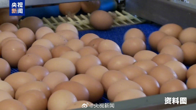 #美国蛋荒持续发酵#【#特朗普政府起诉加州抬高蛋价#】当地时间7月9日，美国特朗