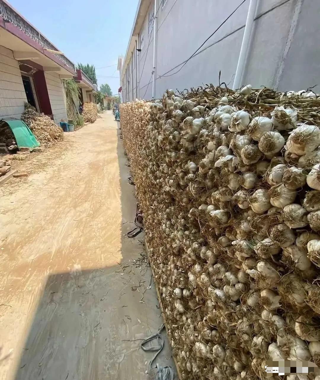 我妈让我发网上卖，我醉了，谁会买啊？