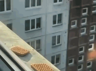 人有失手，马有失蹄鸟也有失嘴