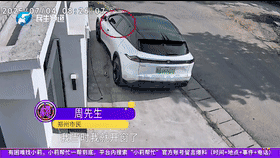 太悲催了！”7月4日，河南郑州，男子一大早开车，刚坐进车内，就闻到一股恶臭！他以