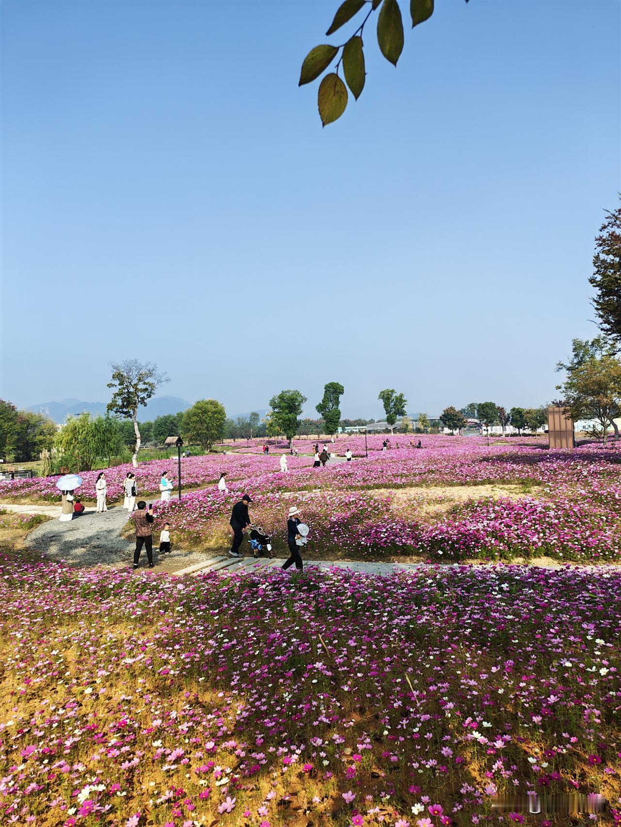 总觉得这两年老了！摘下眼镜比戴上眼镜更显老。虽然知道岁月不饶人，但心里还是不大舒