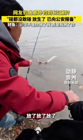 “开眼界了！”11月17日，江西九江，一男子去江边钓鱼，发现勾住了一条大鱼的尾巴