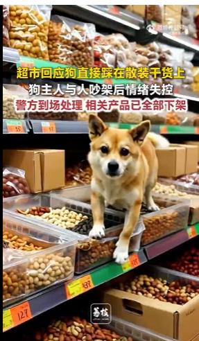 必须严惩！广东广州，一对情侣带着狗去逛超市，顺手就把带来的宠物狗直接放在了散装干