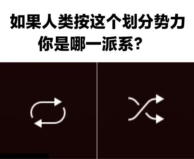 随机播放就是我的人生态度​​​