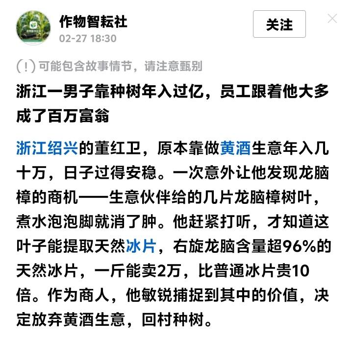 浙江绍兴“树疯子”董红卫揭秘：砍光百万树苗、养鸡捉虫，竟靠一片叶子年入过亿，员工