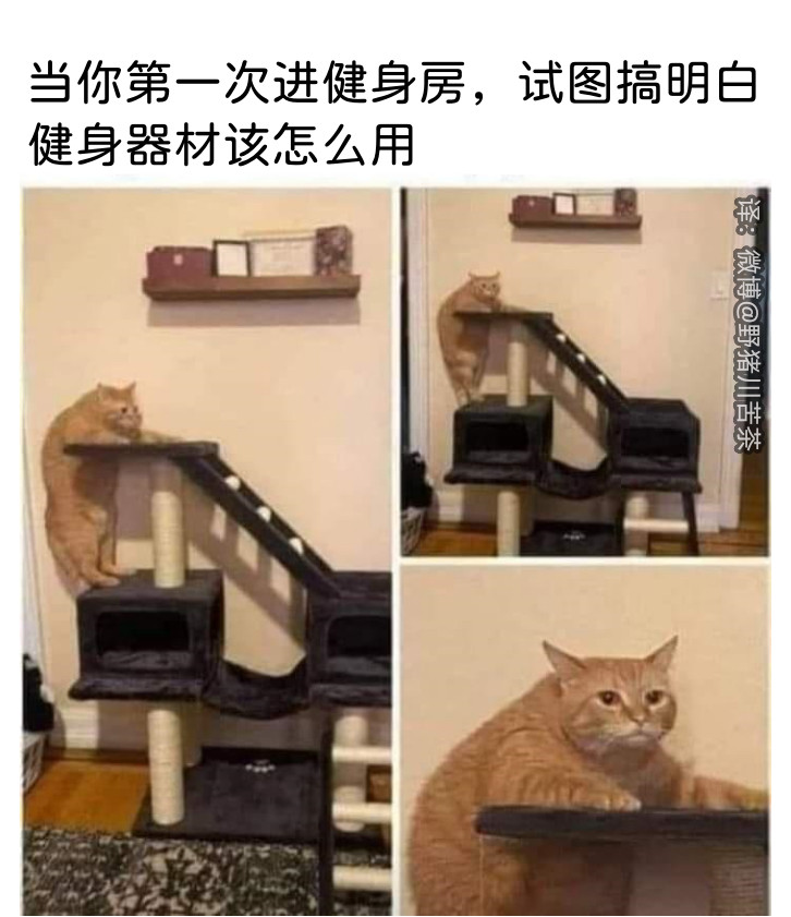 谁给教教啊