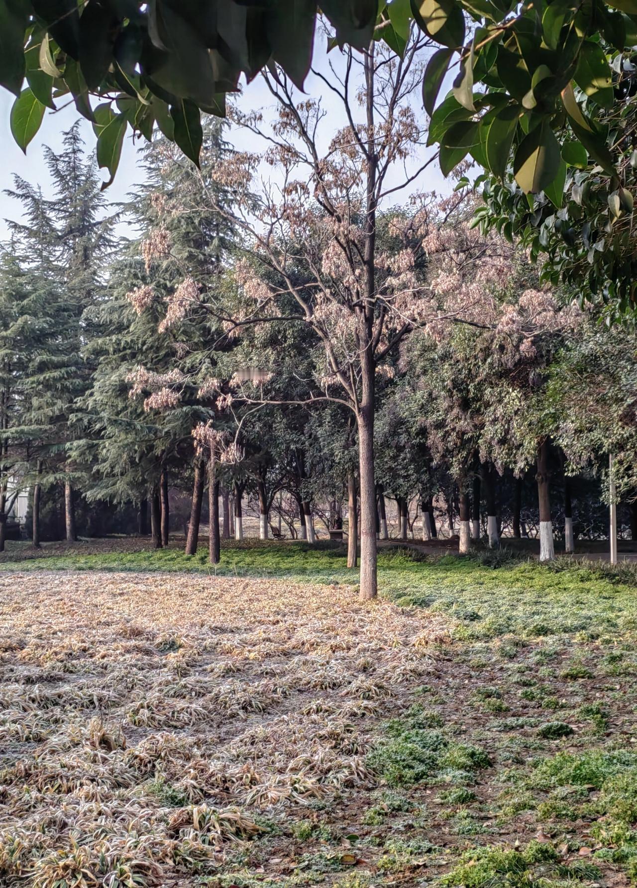 李自成屠杀吴襄全家，是典型的狭隘残暴行为。逼吴襄写劝降信，吴襄写了，吴三桂也准