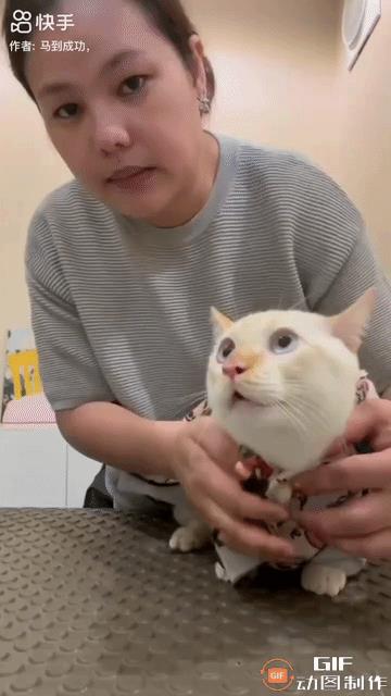 一女子用镜头记录下自己给猫咪洗澡的过程，当洗完澡她拿毛巾裹着猫咪为其擦干身体的时