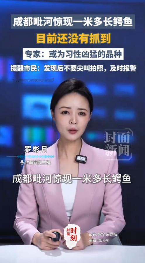 成都毗河出现的1米长鳄鱼，到现在都还没抓到！就在市民日常散步、垂钓的公共河道